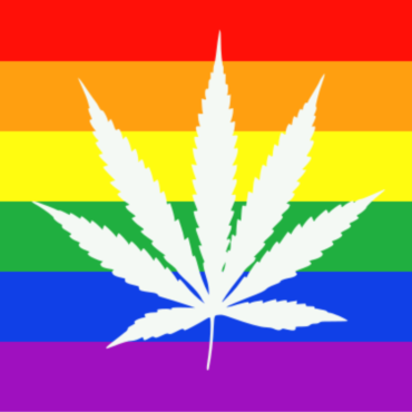 cannabis pride